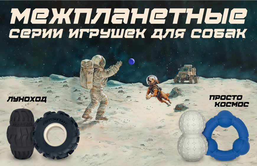 Внимание!